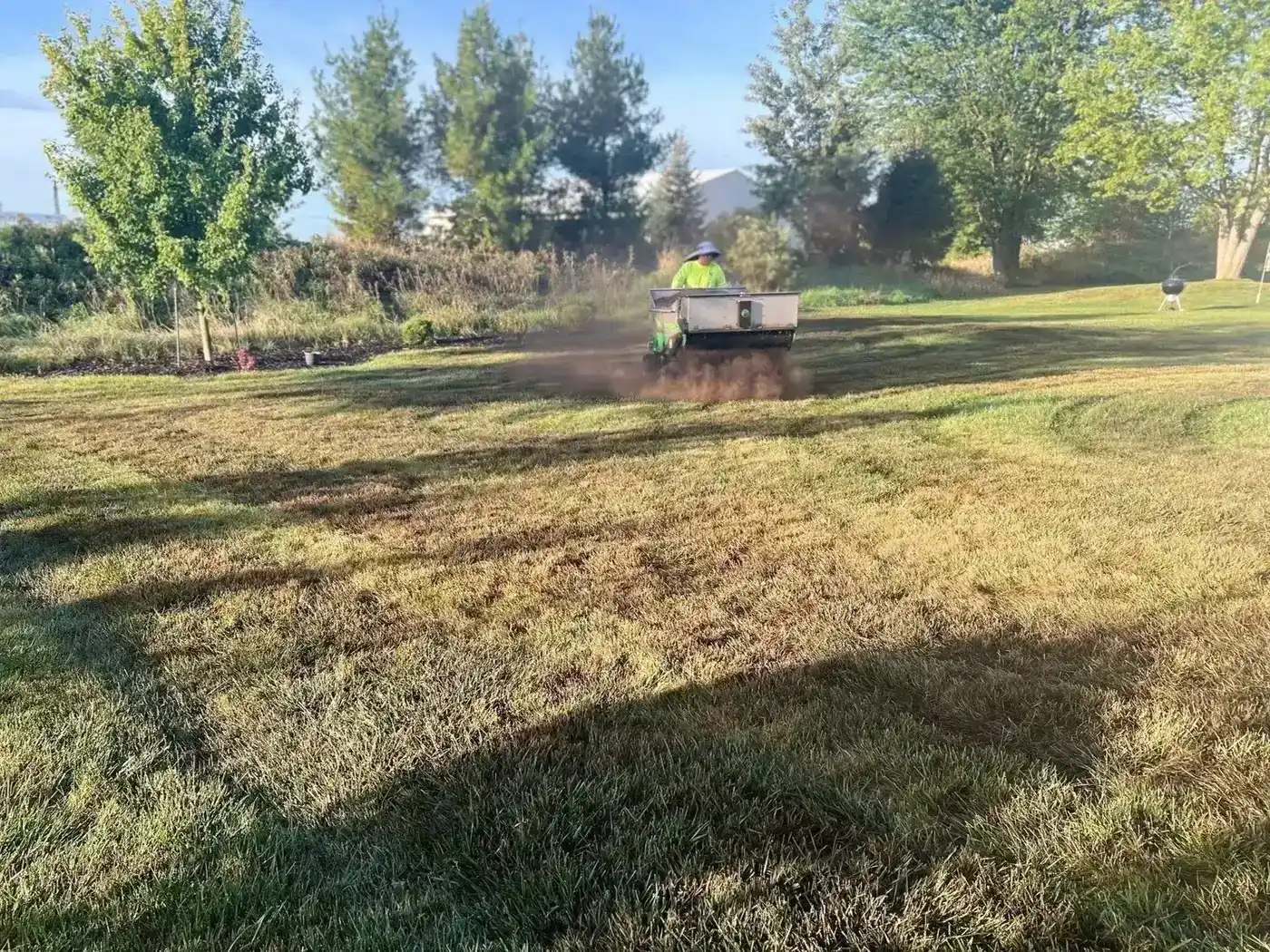 Freshly overseeded and composted lawn in a large backyard